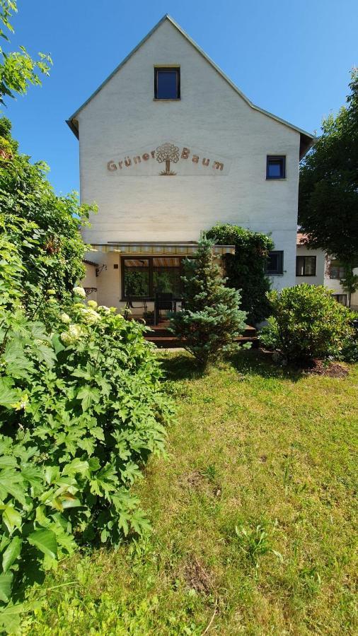 Gasthof Gruener Baum Kirchberg am Wechsel Exteriér fotografie