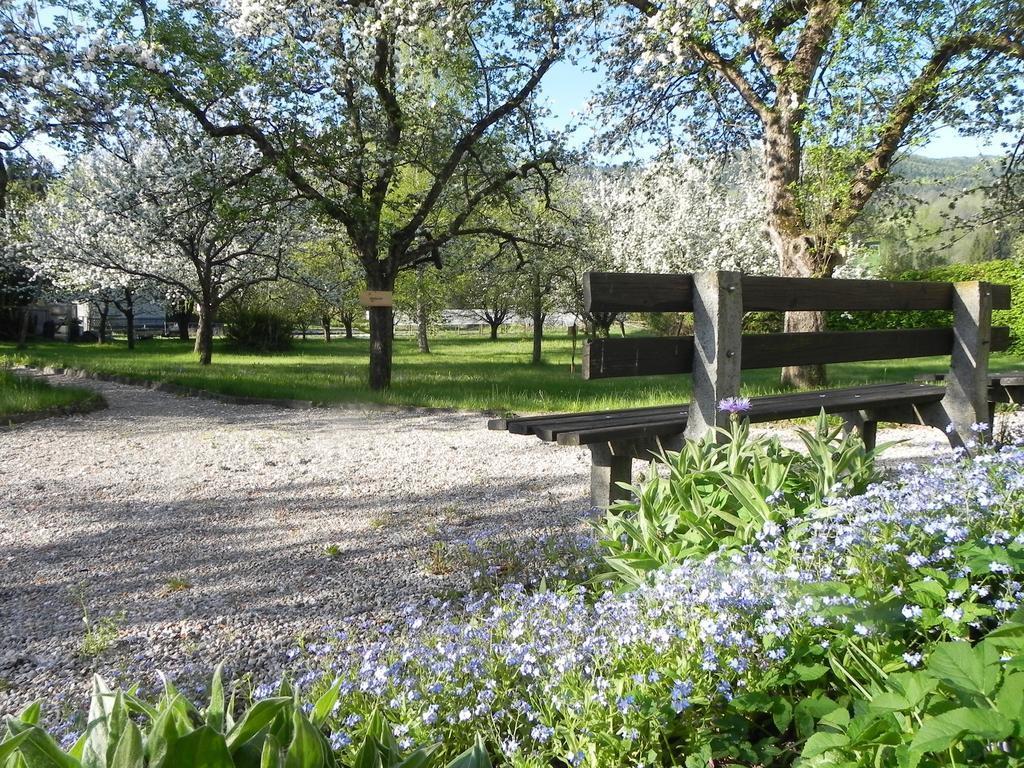 Gasthof Gruener Baum Kirchberg am Wechsel Exteriér fotografie