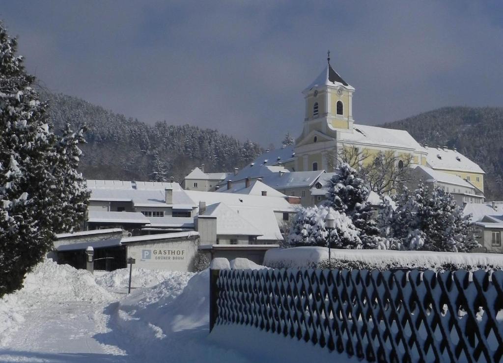Gasthof Gruener Baum Kirchberg am Wechsel Exteriér fotografie