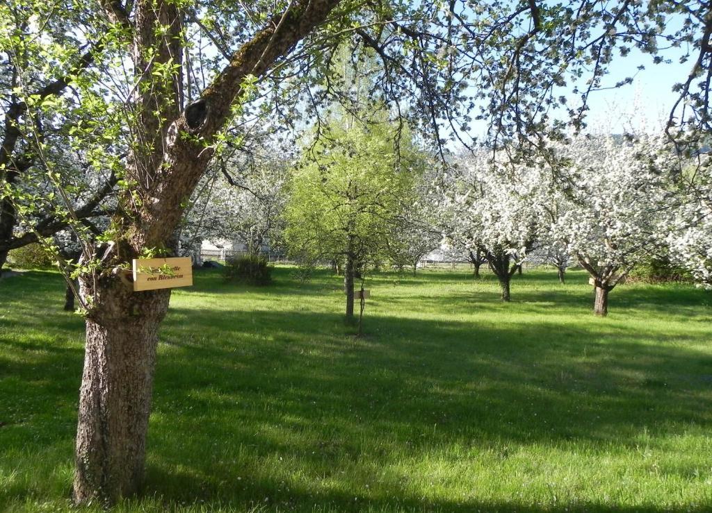 Gasthof Gruener Baum Kirchberg am Wechsel Exteriér fotografie