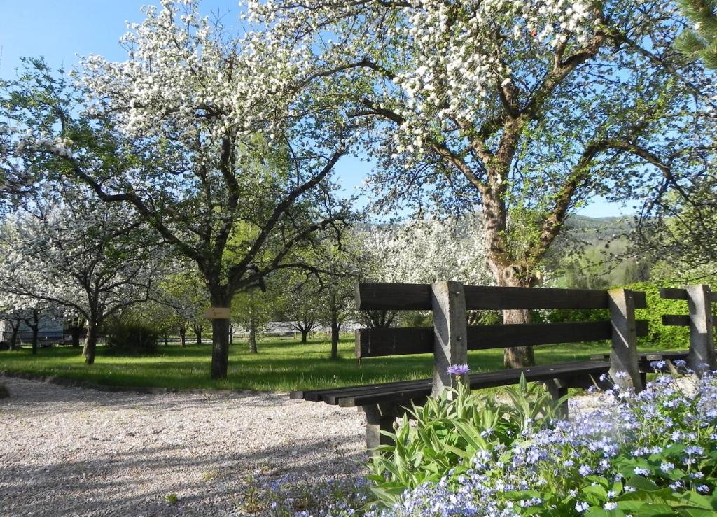 Gasthof Gruener Baum Kirchberg am Wechsel Exteriér fotografie
